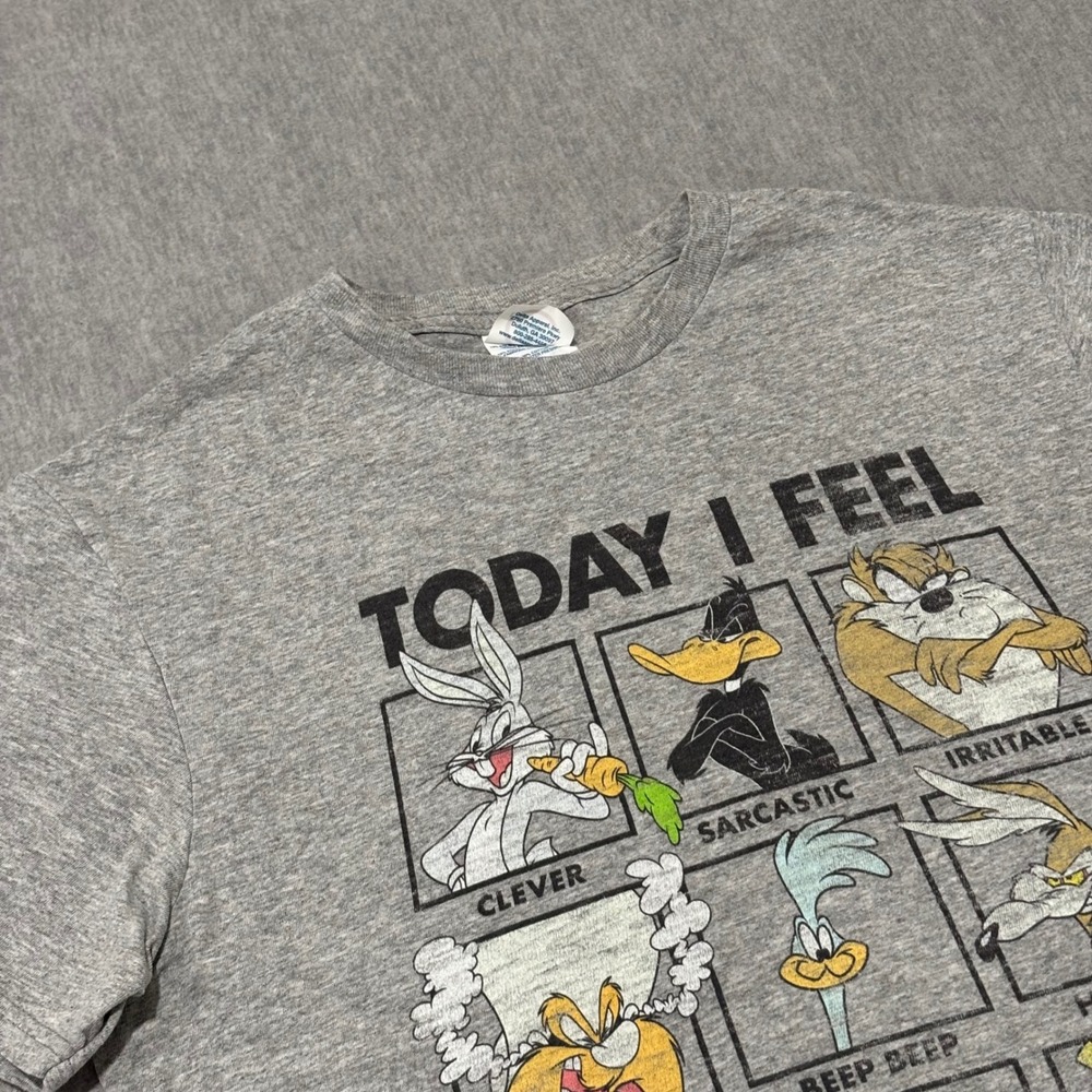Looney Tunes Today I Feel Graphic Tee Mens Medium Gray Delta Soft‎ T-Shirt